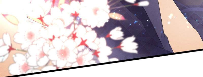 《花落一梦》说不定师傅还活着 第12页