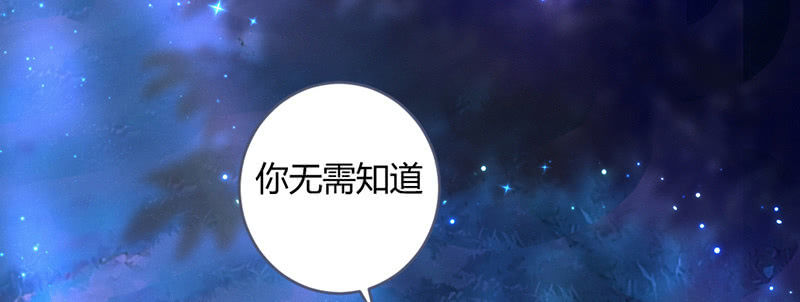 《花落一梦》这就是宿命 第11页
