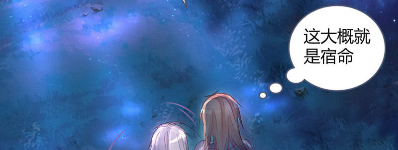 《花落一梦》这就是宿命 第12页