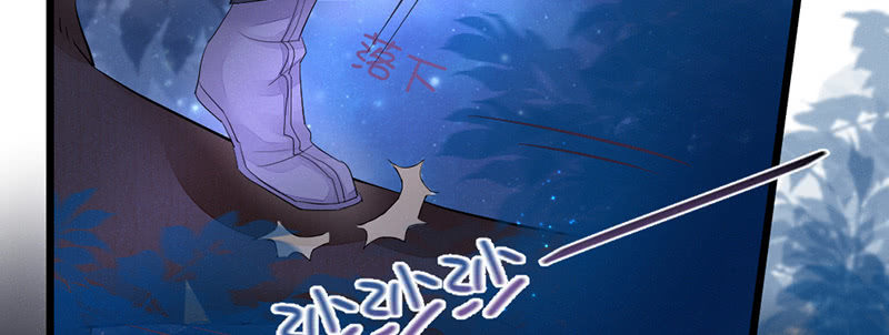《花落一梦》这就是宿命 第27页