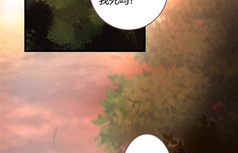 《花落一梦》不推开的理由 第50页