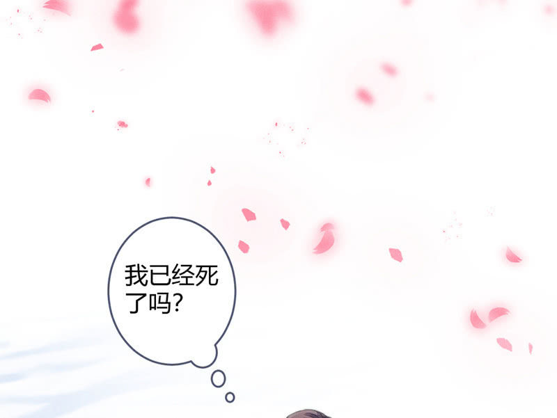 《花落一梦》我这是死了吗？ 第14页