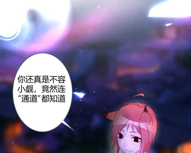 《花落一梦》就要死了么？ 第23页