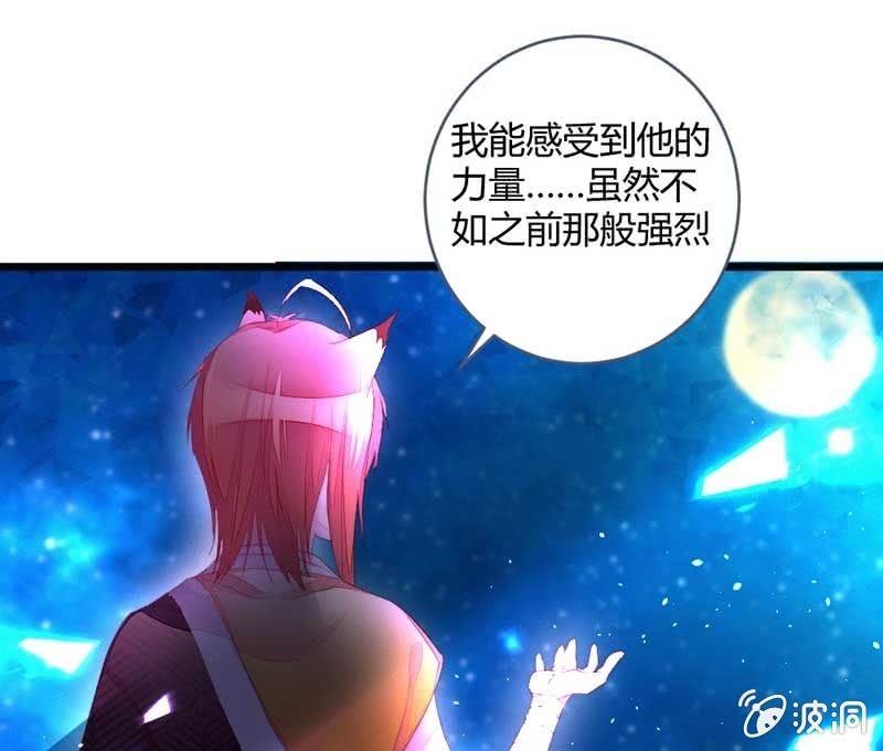 《花落一梦》就要死了么？ 第41页