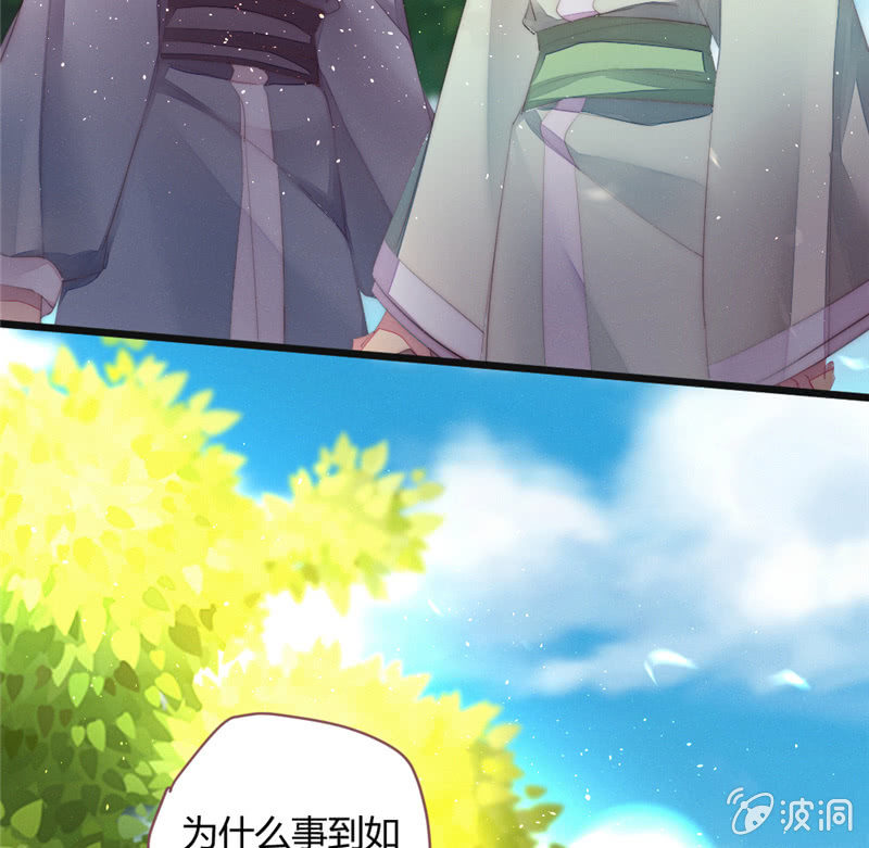 《花落一梦》为什么要分离？ 第5页