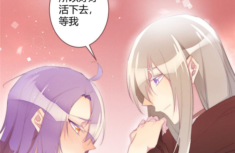 《花落一梦》亲口告诉我 第27页