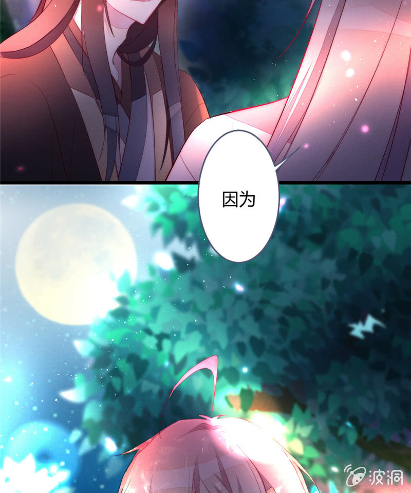 《花落一梦》与你们无关 第33页
