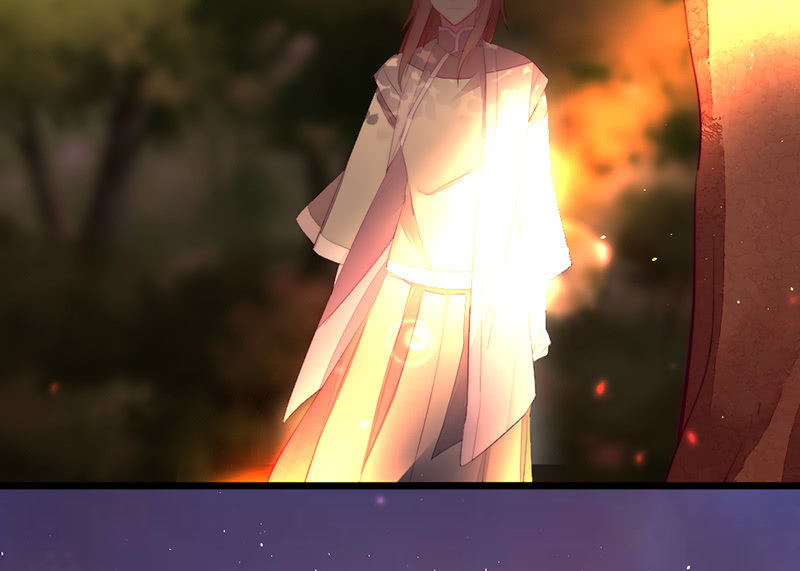 《花落一梦》妖精的村子 第11页