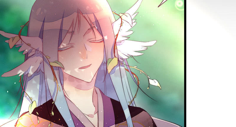 《花落一梦》祭品 第26页