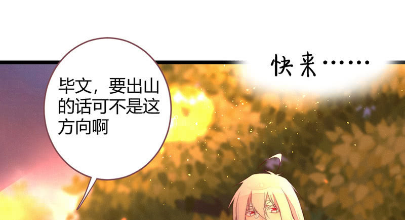 《花落一梦》祭品 第46页