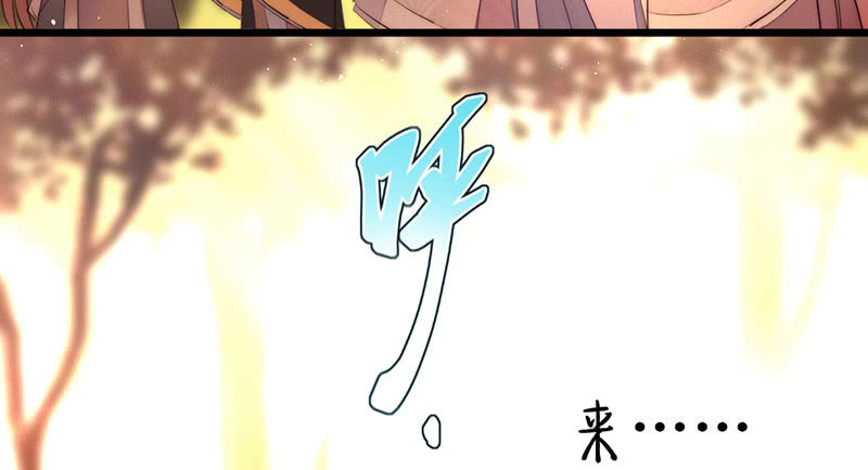 《花落一梦》祭品 第48页