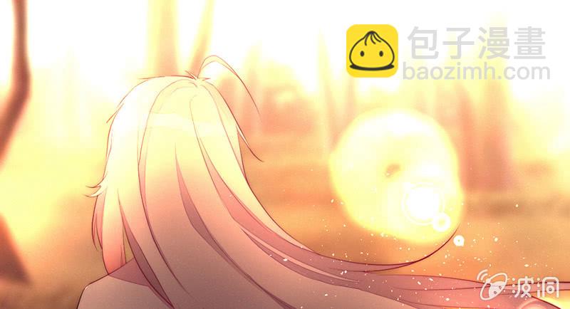 《花落一梦》祭品 第49页