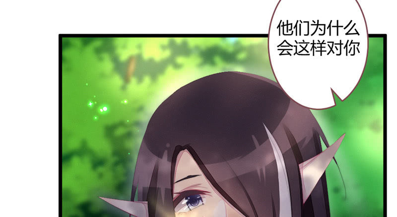 《花落一梦》我们是兄弟 第12页