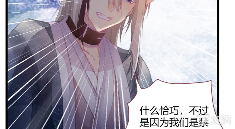 《花落一梦》我们是兄弟 第25页