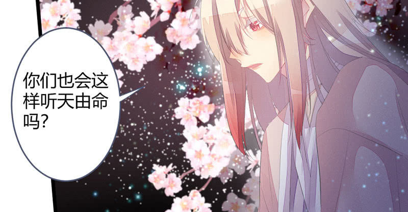 《花落一梦》有话对你说 第30页