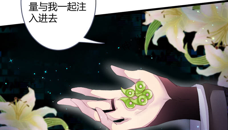 《花落一梦》解除封印 第40页