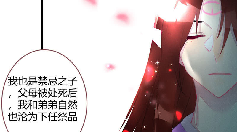 《花落一梦》我比你更自私 第11页