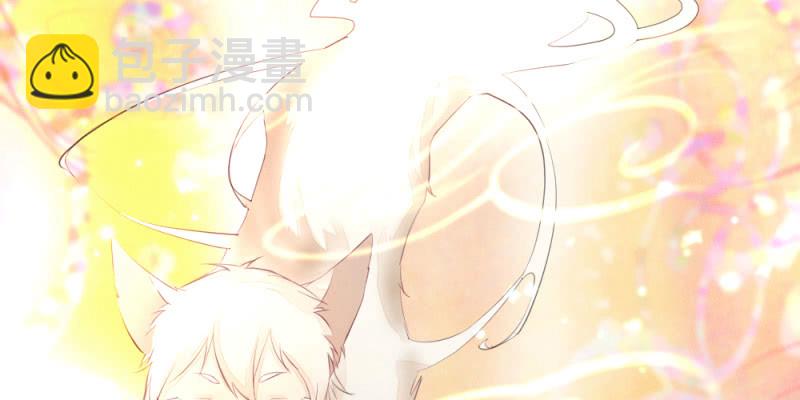 《花落一梦》时机已经成熟 第44页