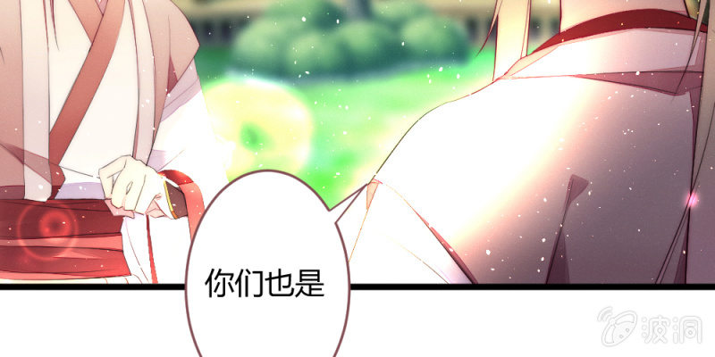 《花落一梦》动身凉城 第17页