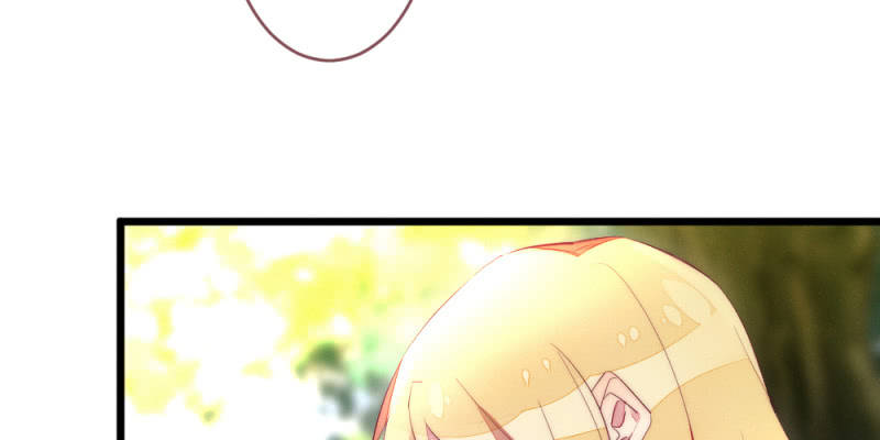 《花落一梦》动身凉城 第18页