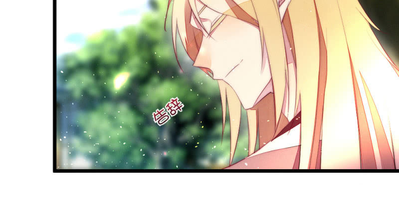 《花落一梦》动身凉城 第19页