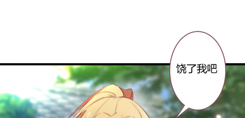 《花落一梦》动身凉城 第27页