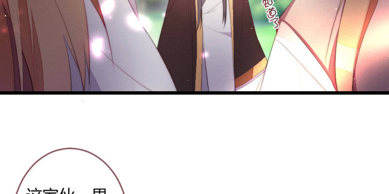 《花落一梦》动身凉城 第4页