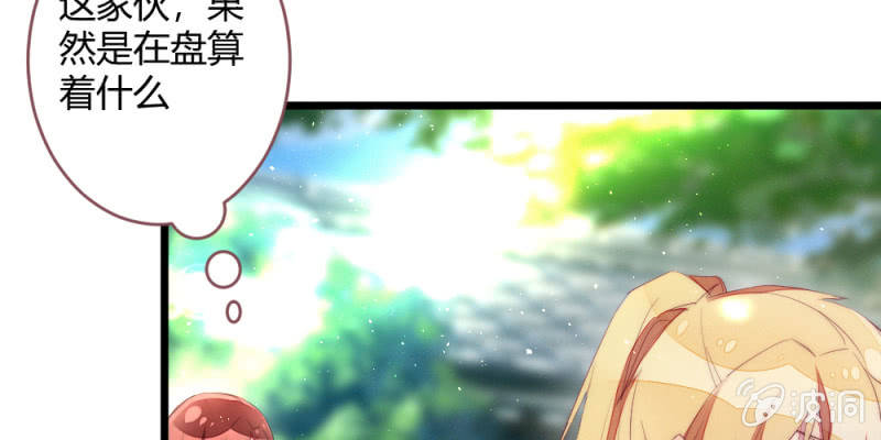 《花落一梦》动身凉城 第5页