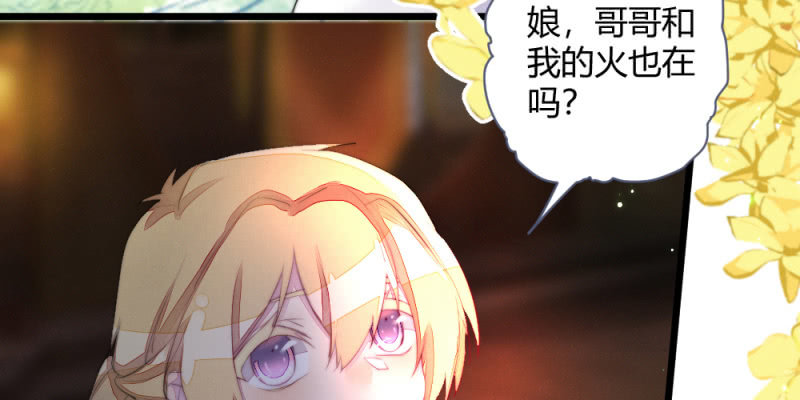 《花落一梦》再见同门 第11页