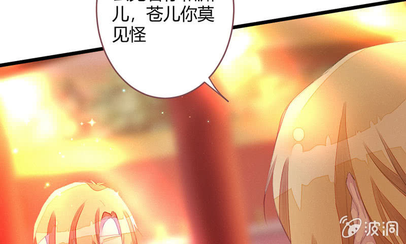 《花落一梦》选择 第29页