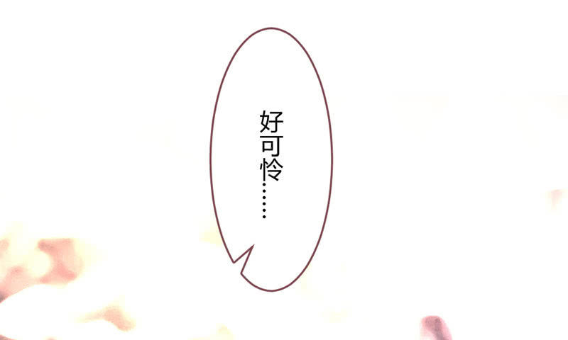 《花落一梦》选择 第39页