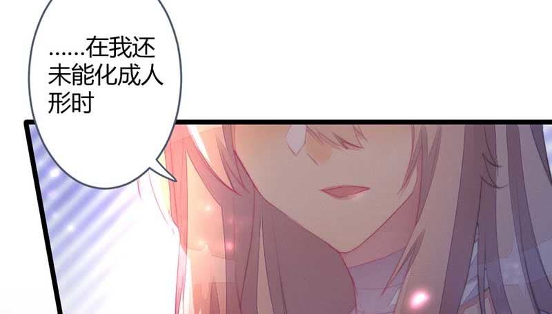《花落一梦》怎么办才好 第38页
