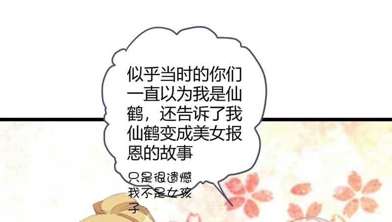 《花落一梦》怎么办才好 第50页