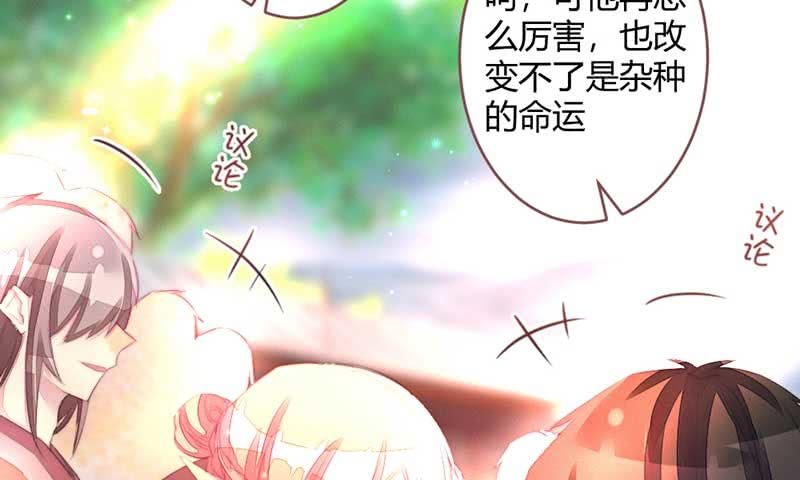 《花落一梦》嚣张 第25页