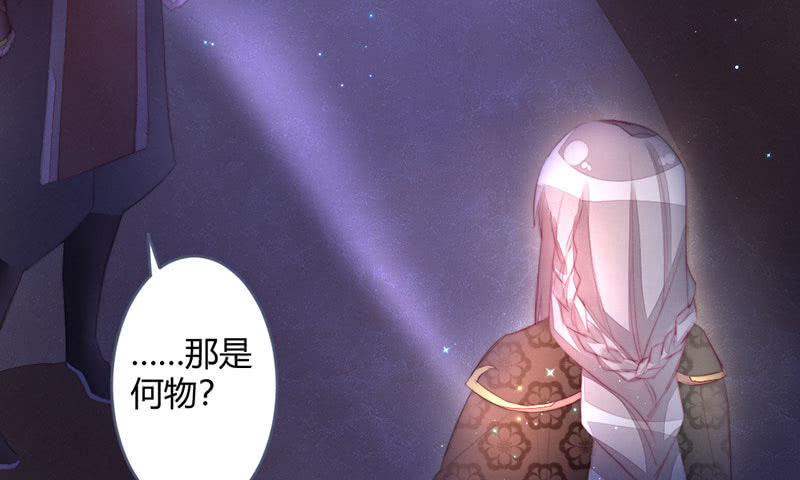 《花落一梦》这次不是杀人 第31页