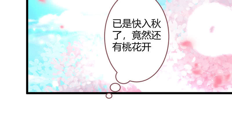 《花落一梦》不想与他分离 第32页