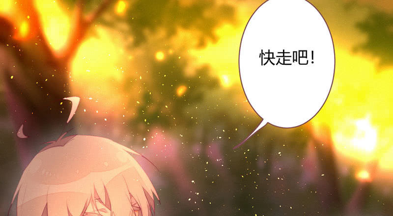 《花落一梦》是蚊子咬的！ 第39页
