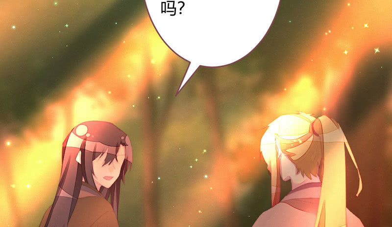 《花落一梦》我羡慕你 第35页