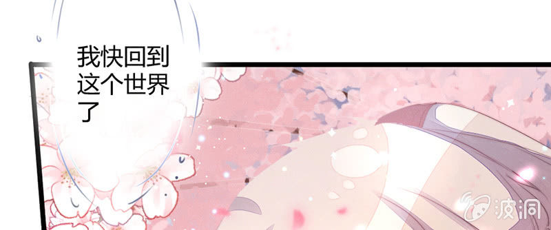 《花落一梦》你是谁？ 第17页