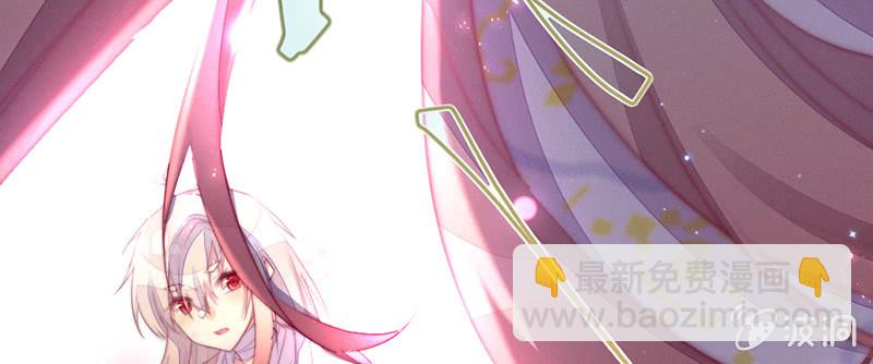 《花落一梦》你是谁？ 第5页