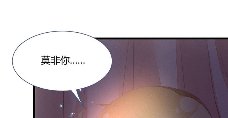 《花落一梦》该死的老狐狸 第11页