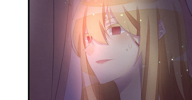 《花落一梦》该死的老狐狸 第12页