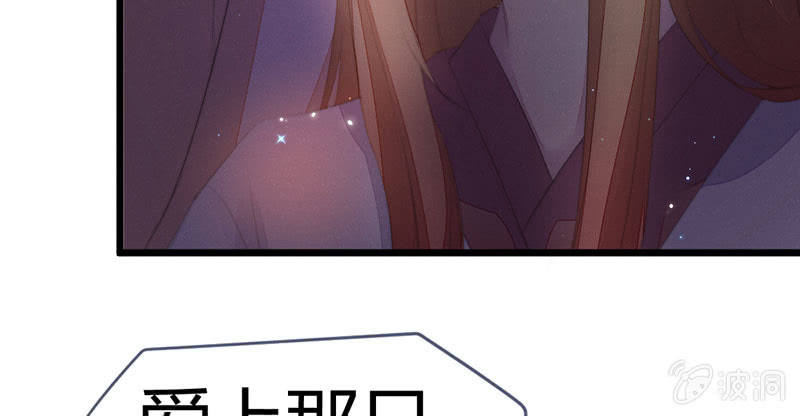 《花落一梦》该死的老狐狸 第13页