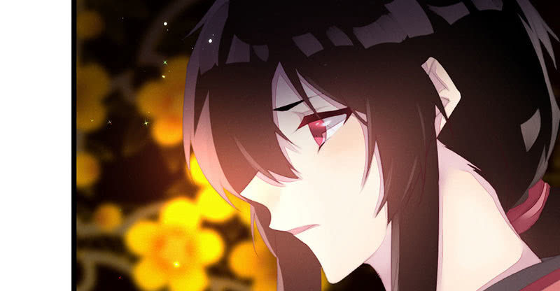 《花落一梦》该死的老狐狸 第23页