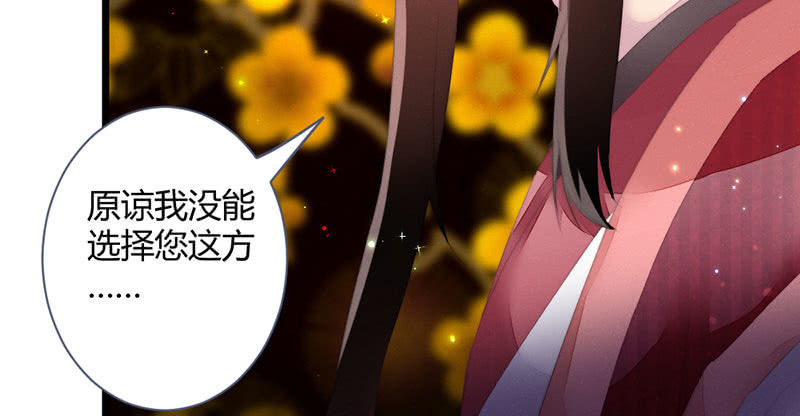 《花落一梦》该死的老狐狸 第24页