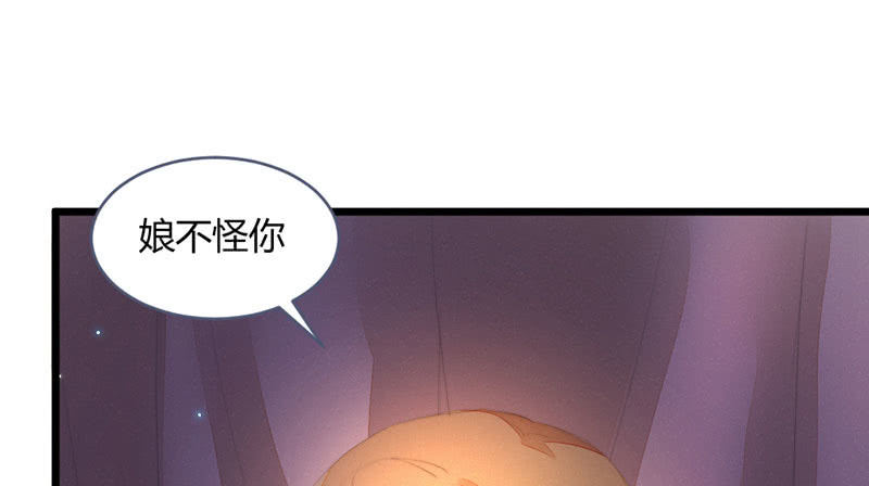《花落一梦》该死的老狐狸 第26页