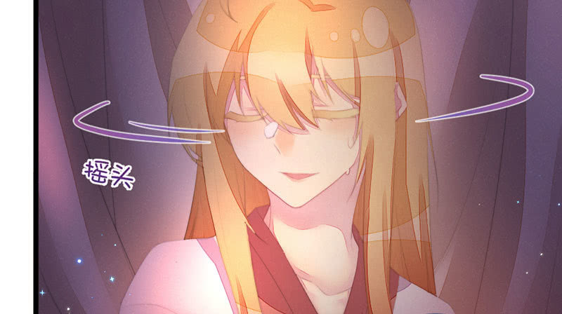 《花落一梦》该死的老狐狸 第27页