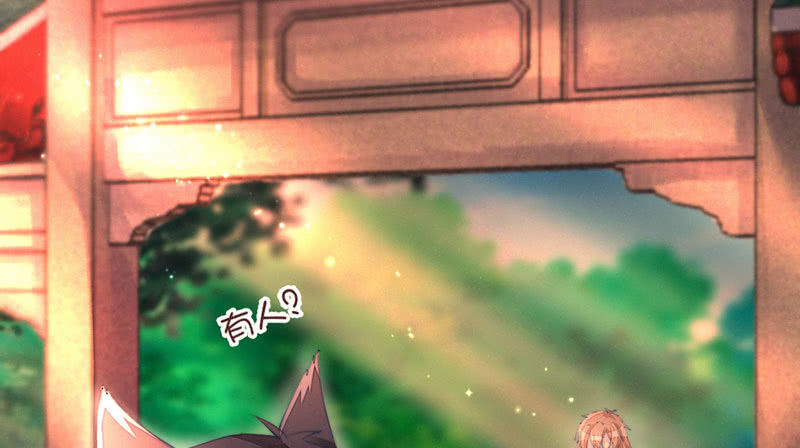 《花落一梦》毕文在哪里 第11页