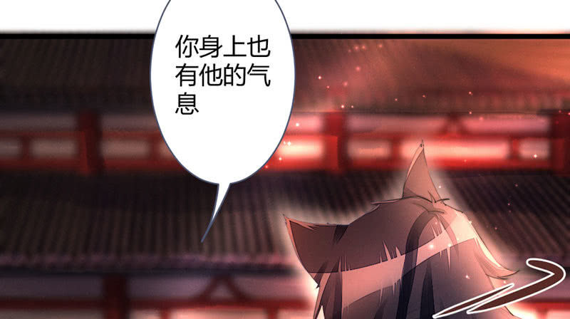 《花落一梦》毕文在哪里 第23页