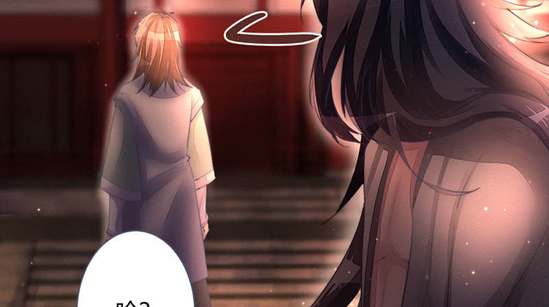 《花落一梦》毕文在哪里 第24页